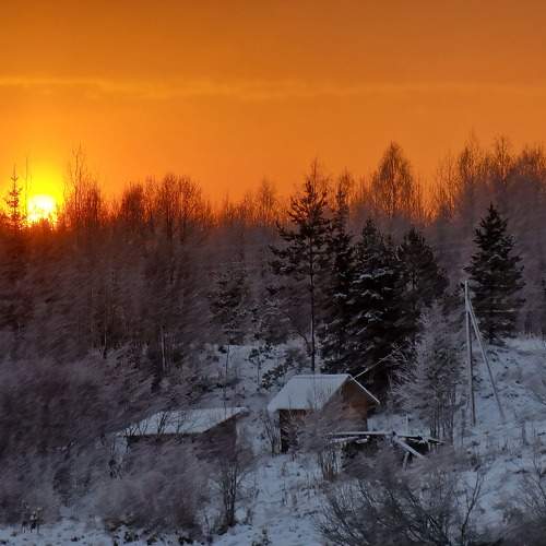Photo #10051510