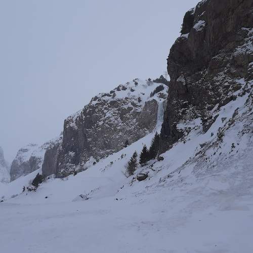 Photo #10052071