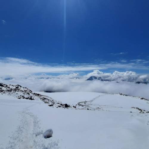 Photo #10052072