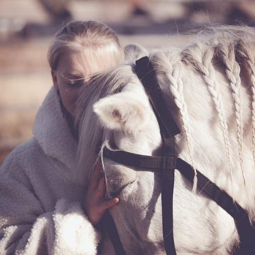 Photo #10052089