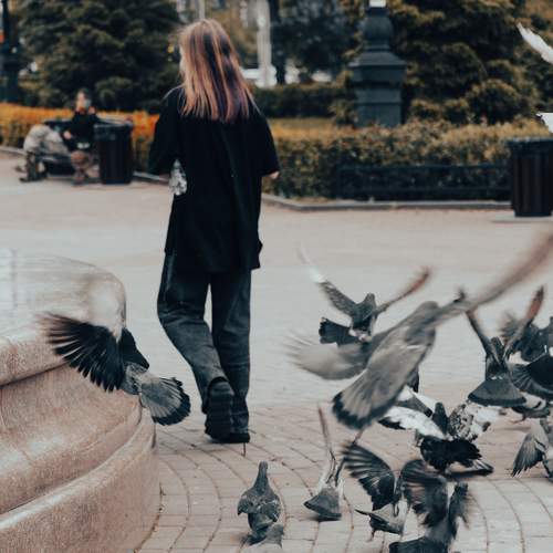 Photo #10052238