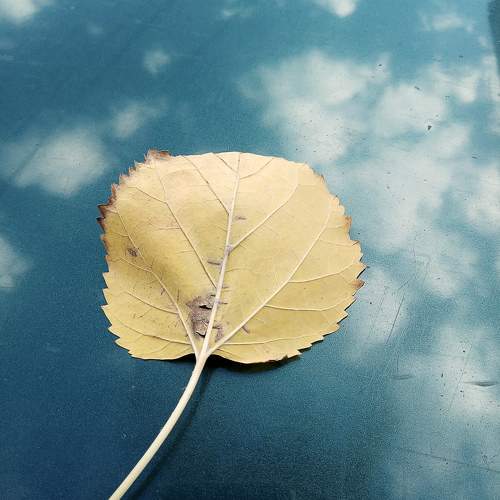 Photo #10052405