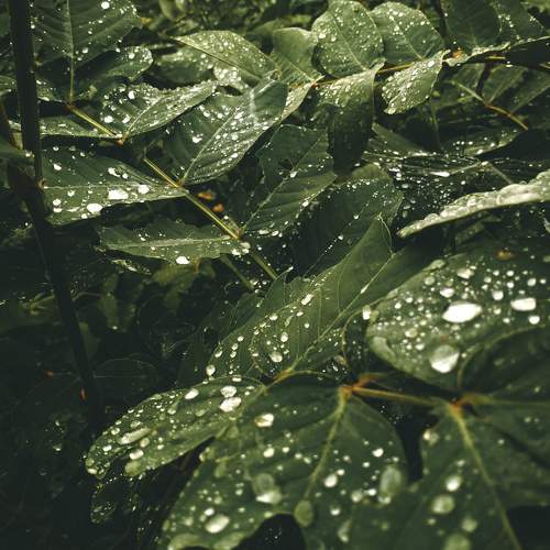 Photo #10052742
