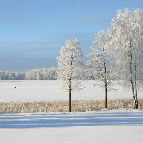 Photo #10052768