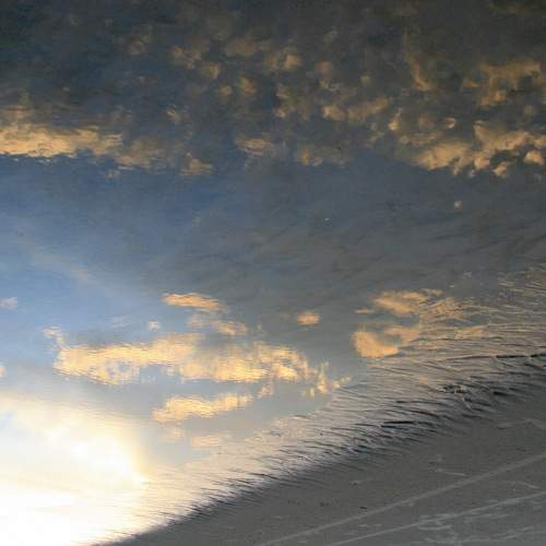 Photo #10052778