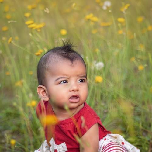 Photo #10052827