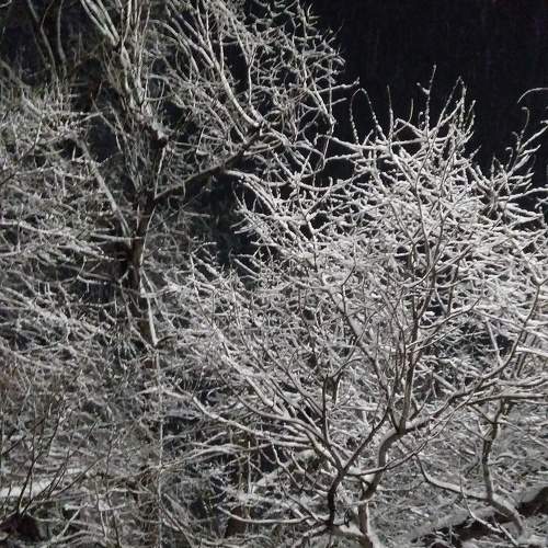 Photo #10052876