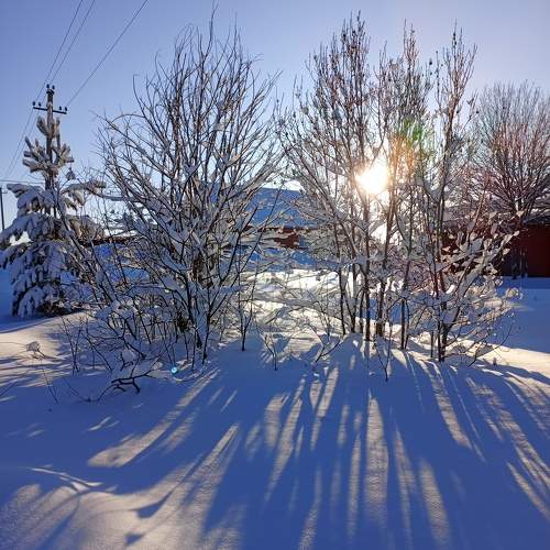 Photo #10053079
