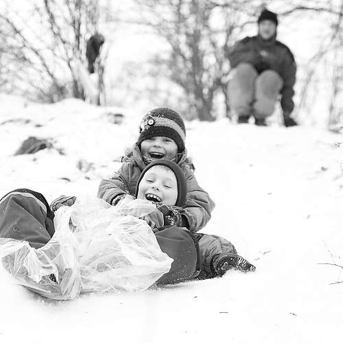Photo #10053503