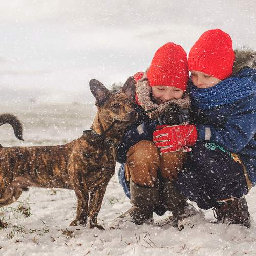 Photo #10053506