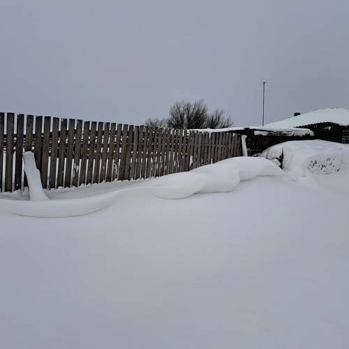Photo #10053564