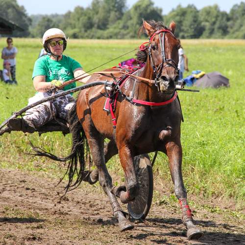 Photo #10053575