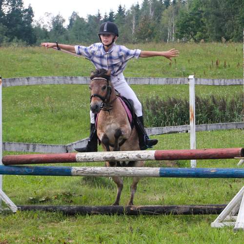 Photo #10053605