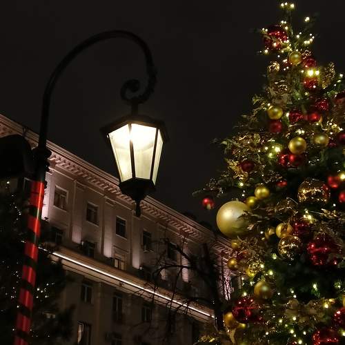 Photo #10053755