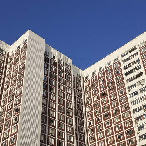 Photo #10054259