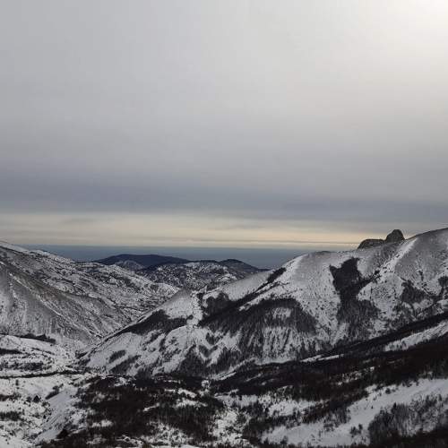 Photo #10054604