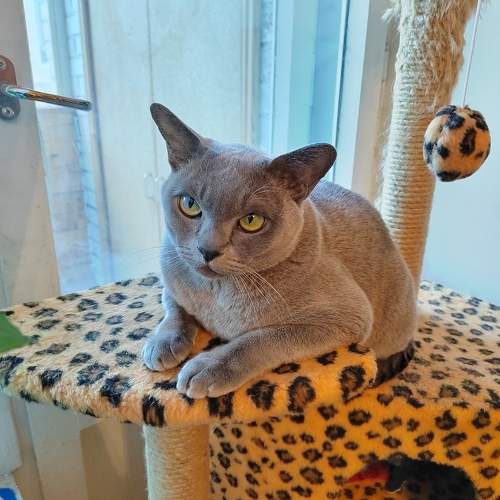 Photo #10054627
