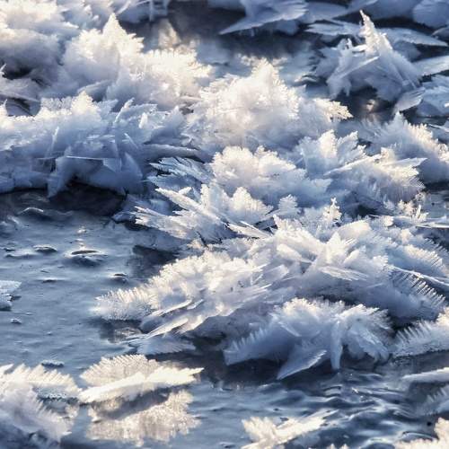 Photo #10054644