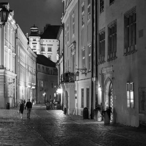 Photo #10054659
