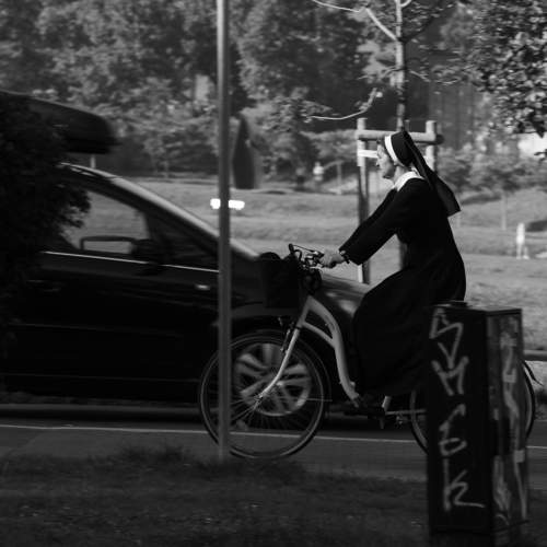 Photo #10054663
