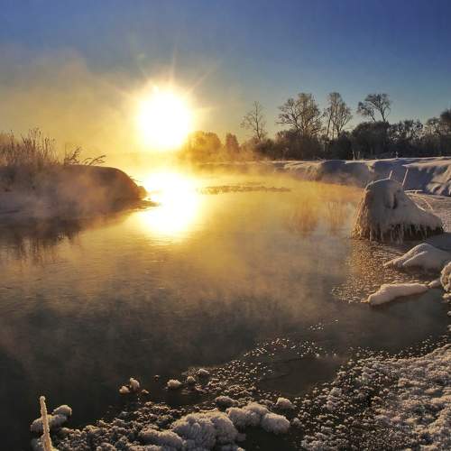 Photo #10054840