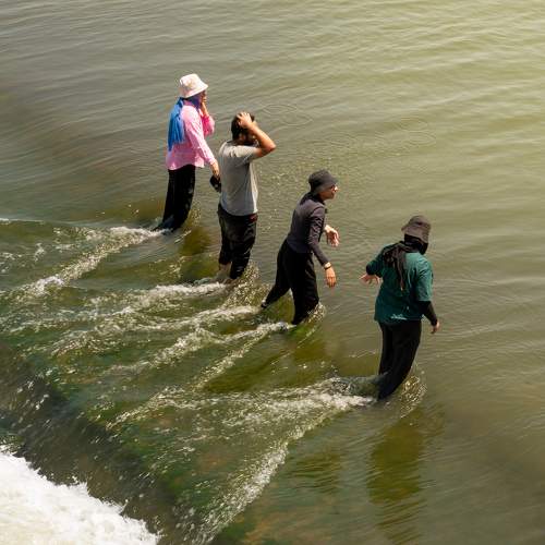 Photo #10055005
