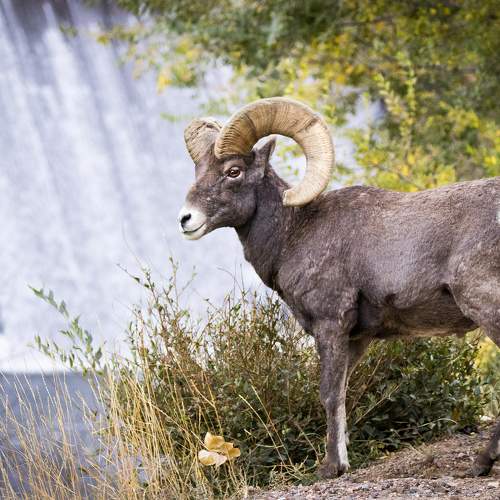 Photo #10055088