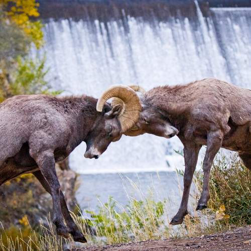 Photo #10055132