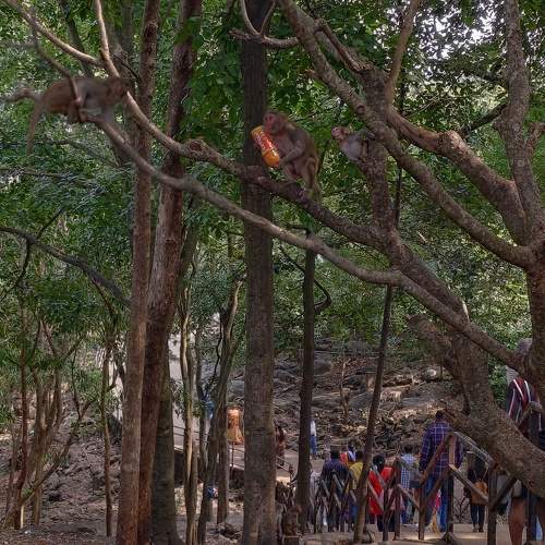 Photo #10055182