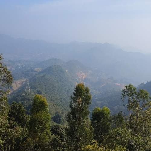 Photo #10055198