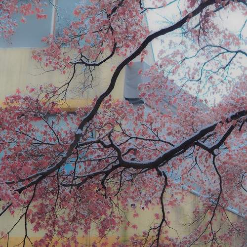 Photo #10055523