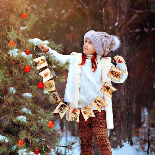 Photo #10055853