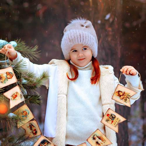 Photo #10055854