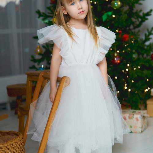 Photo #10056791