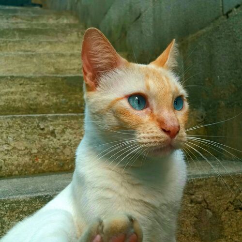 Photo #10056938