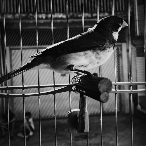 Photo #10057138