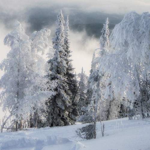 Photo #10057199