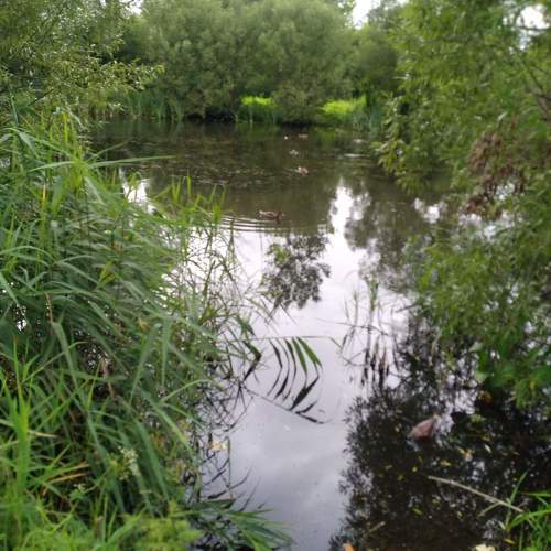 Photo #10057208