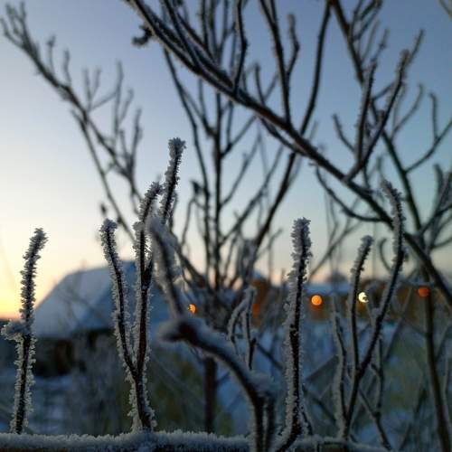 Photo #10057957