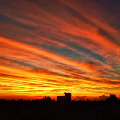 The Sunset