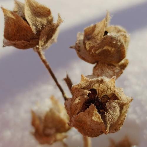Photo #10057995