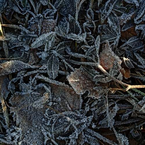 Photo #10058076