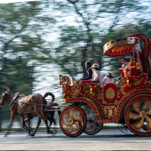 Chariot on earth