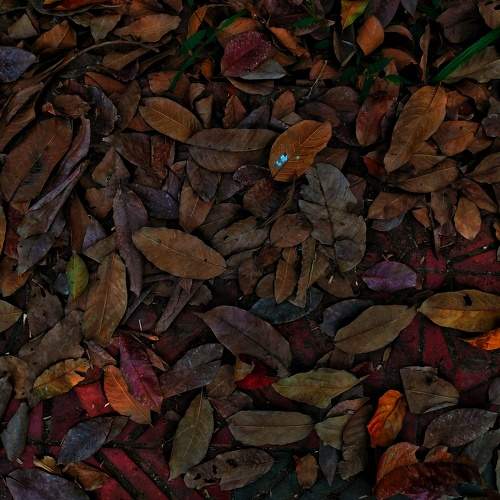 The Colour of Autumn