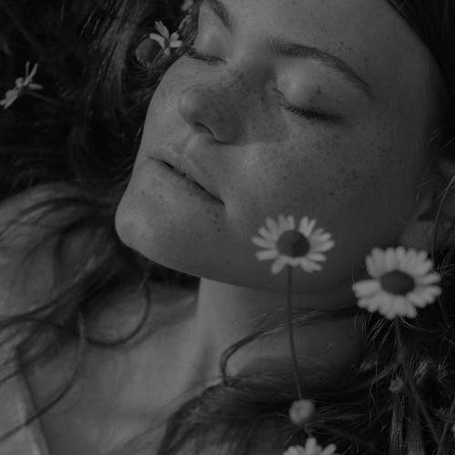 Photo #10058156