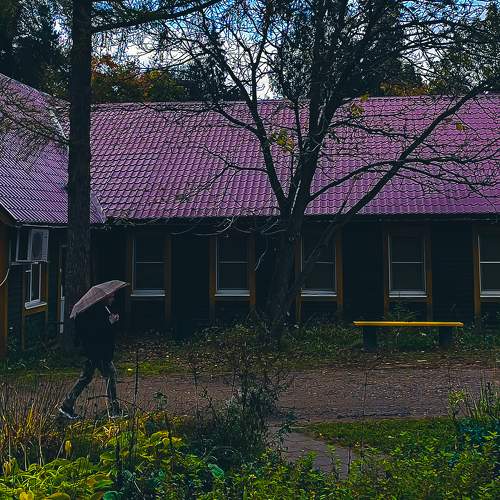Photo #10058344