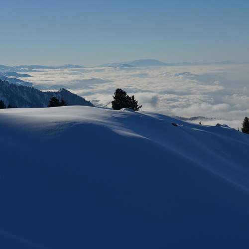 Photo #10058395