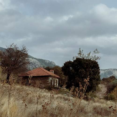 Photo #10058648
