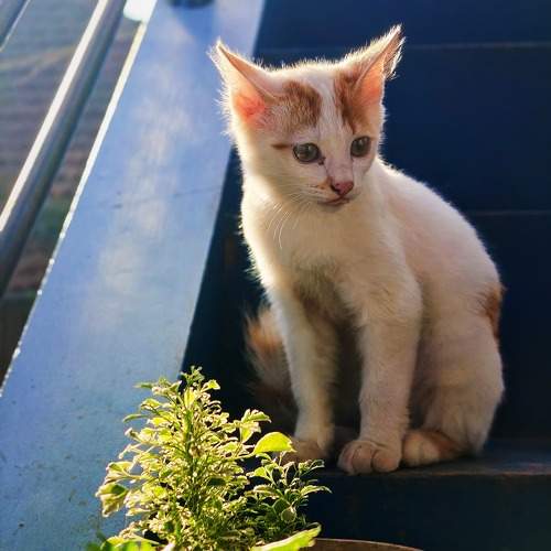 Photo #10058866