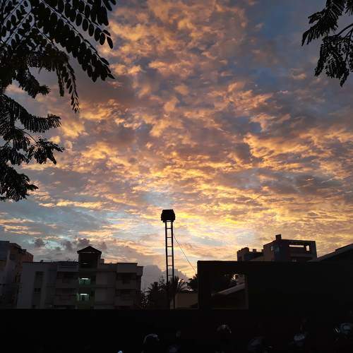Photo #10058868